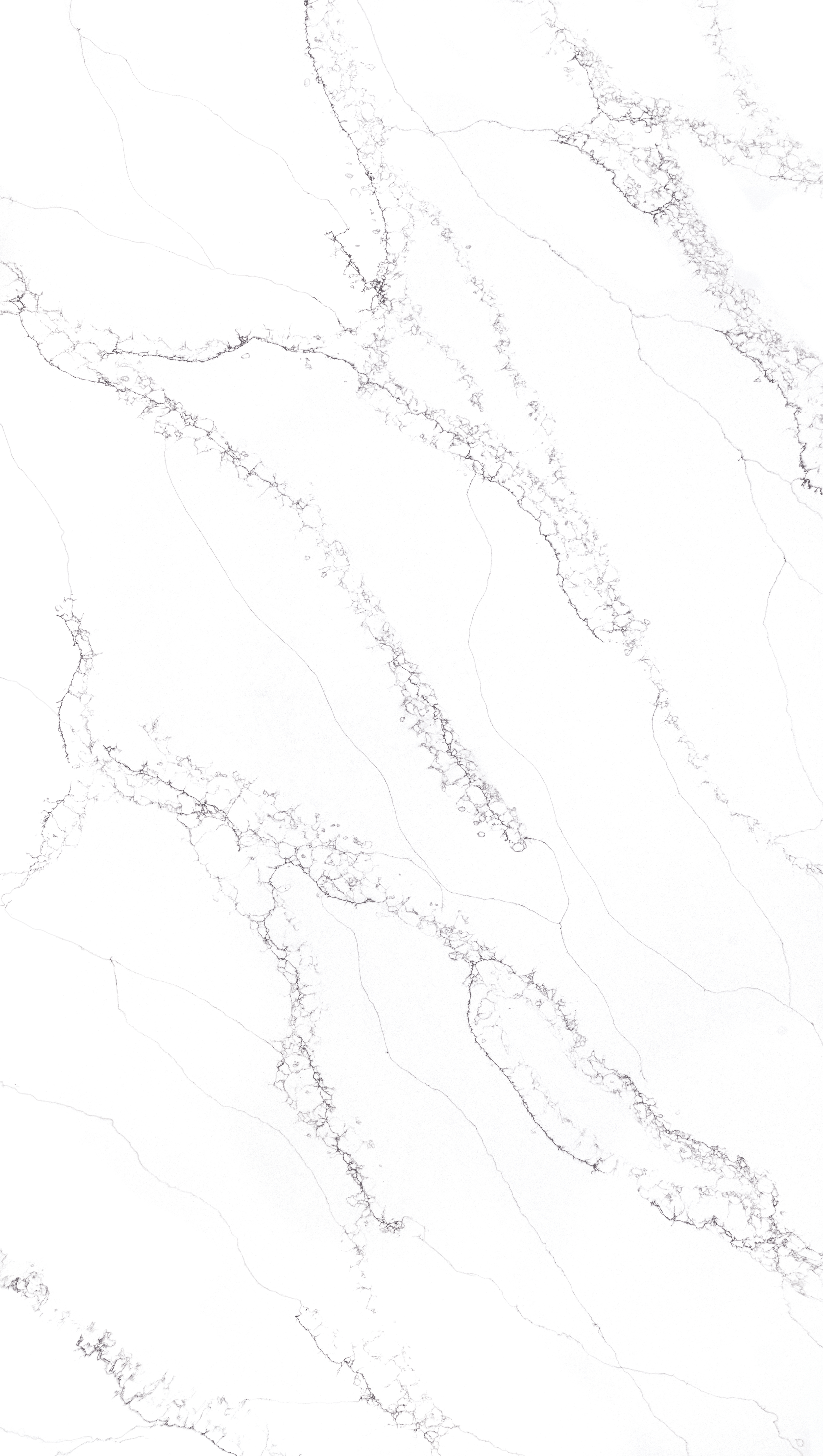 River White